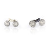 Black Swallowtail Butterfly Wing Stud Earrings