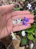 Violet Stud Earrings