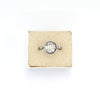 Milgrain Edge Tiger Swallowtail Wing Ring